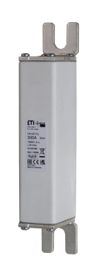 Charger fuse NV