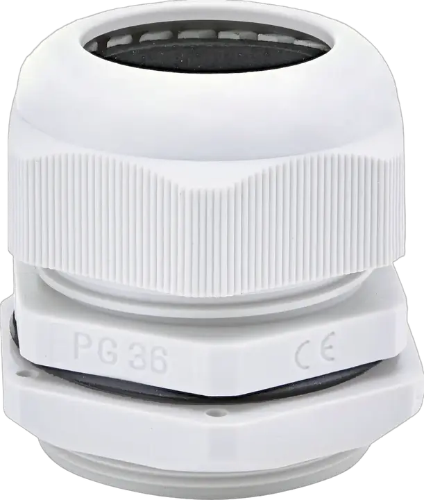 Slika PG-36