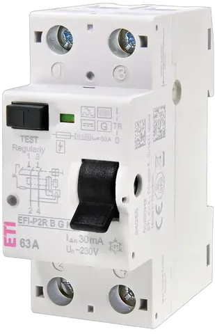 Slika EFI-P2R B G/KV 25/0.03