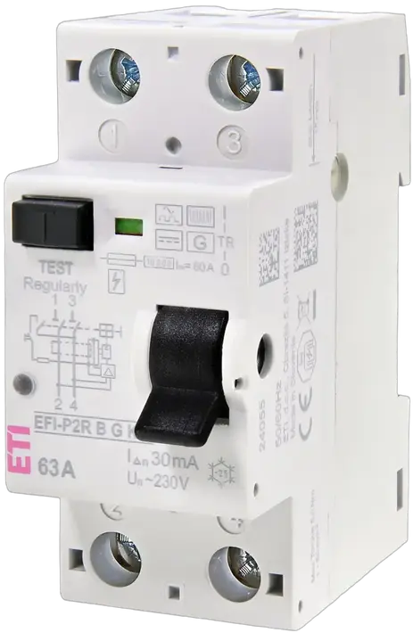 Slika EFI-P2R B G/KV 63/0.03
