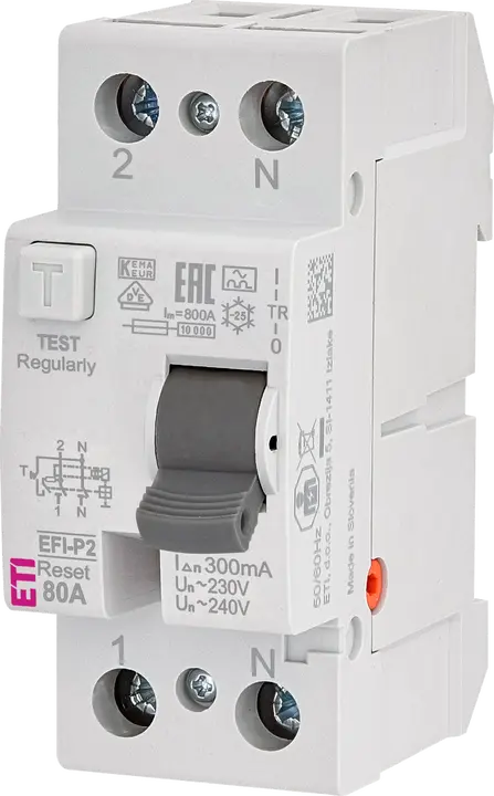 Slika EFI-P2R A 80/0.3