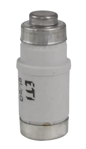 D02 gG 25A/400V