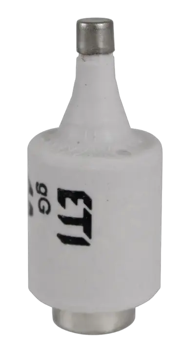 Slika DII DZ/gF 2A/500V
