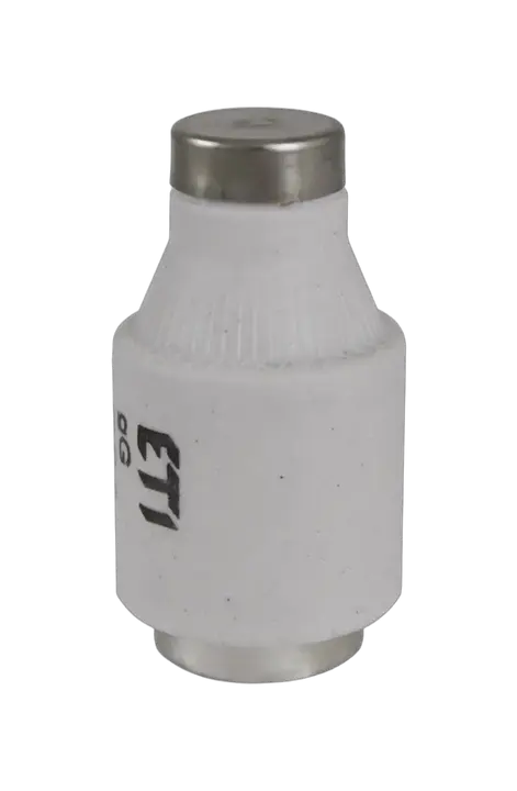 Slika DIII gG 32A/500V