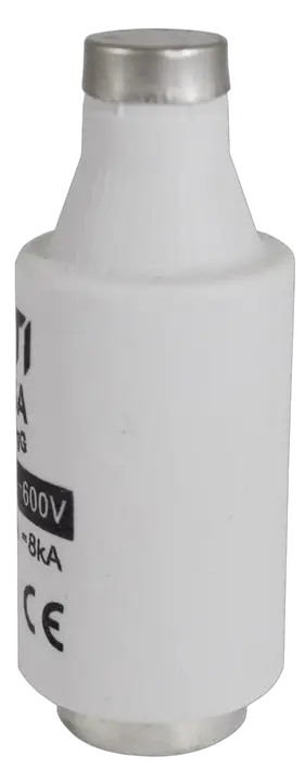Slika DIII gG 25A/690V