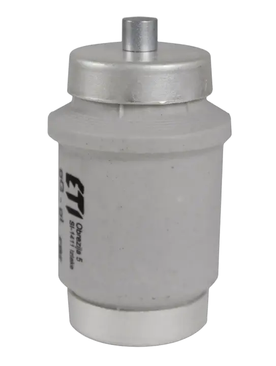 Slika DIV gG 80A/500V