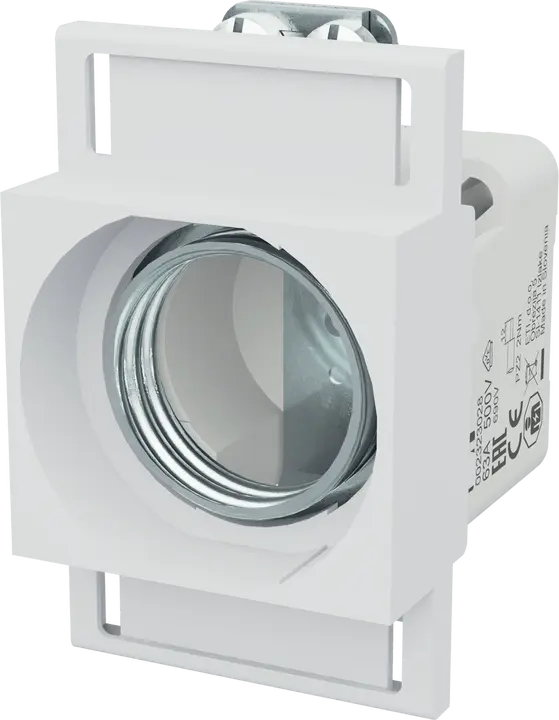 Slika DIII E33 63A EZN 1p+ZP
