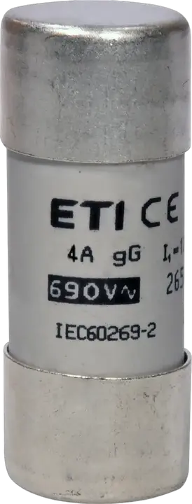 Slika CH22x58 gG 4A/690V