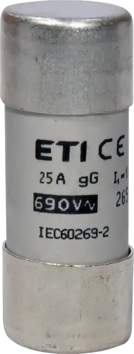 Slika CH22x58 gG 25A/690V