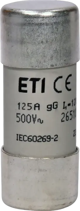 Slika CH22x58 gG 125A/500V
