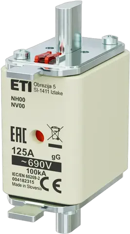 NH00 gG 125A/690V
