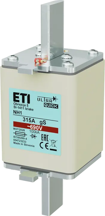 Slika *NH1 gS 250A/690V
