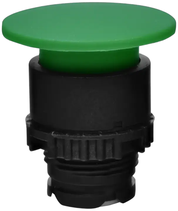 Slika NSE-PBM-G