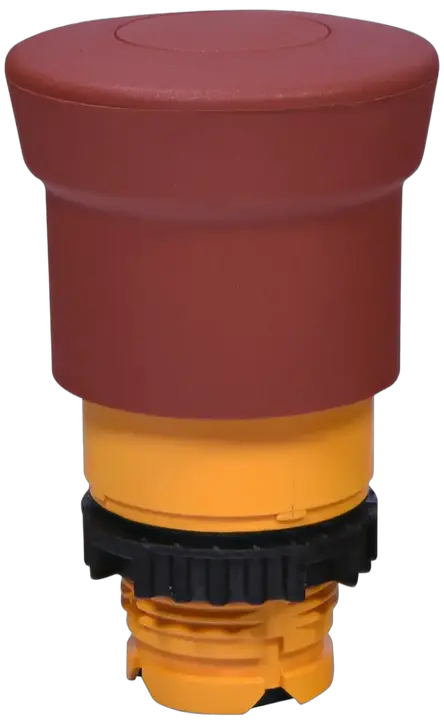 Slika NSE-PBM-P-R