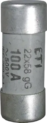Slika CH22x58/P gG 80A/500V